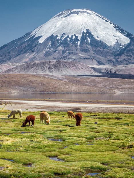 Chile