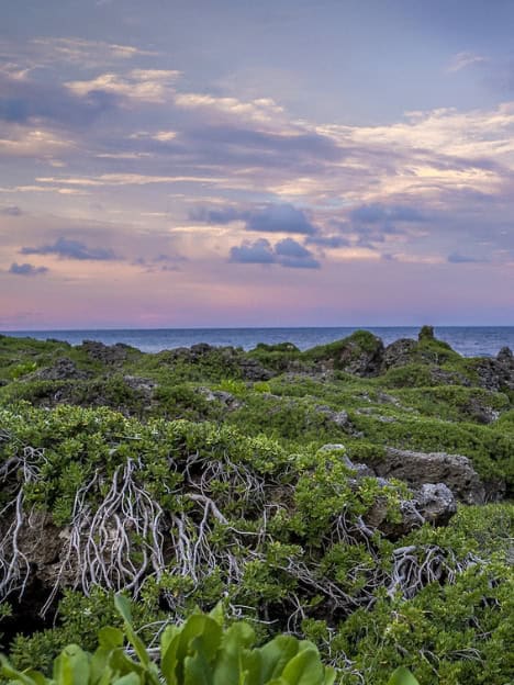 Guam