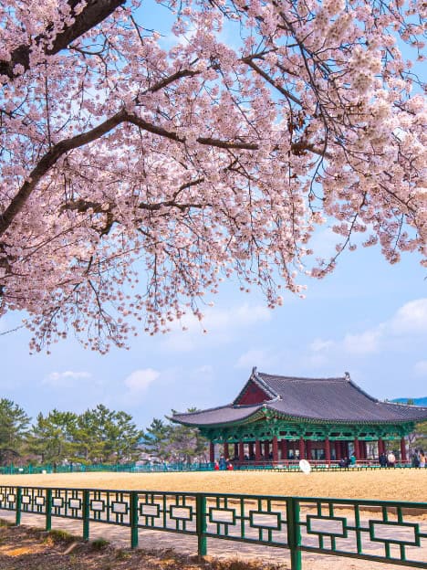Hàn Quốc