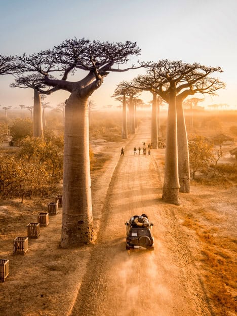 Madagascar