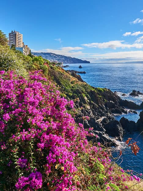 Madeira