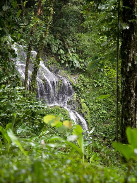 Suriname