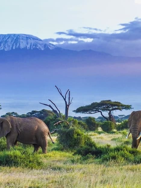 Tanzania